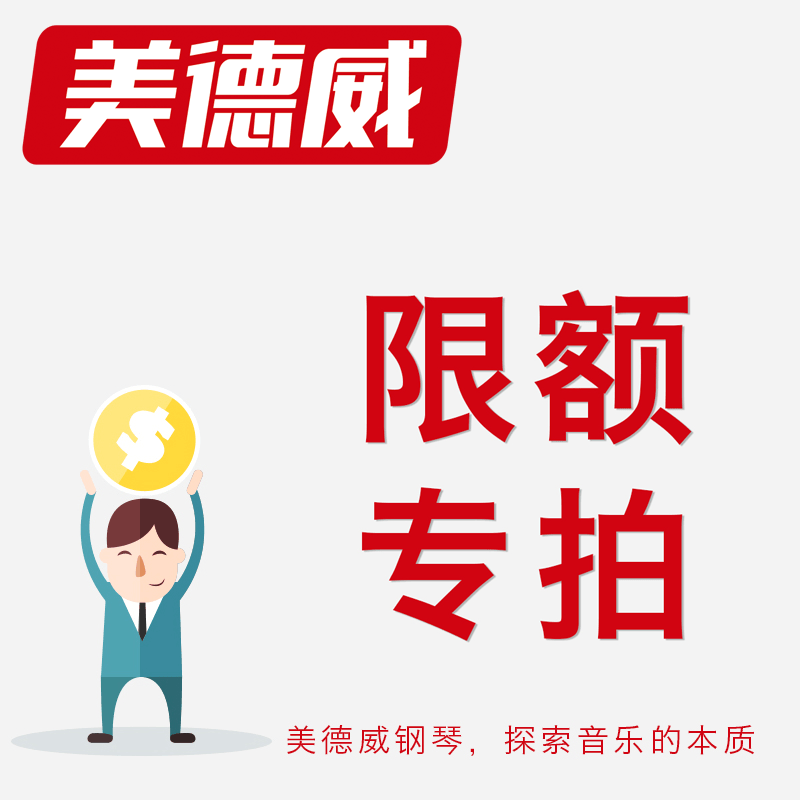 古典的美，优雅与时尚的钢琴(4) 第4页