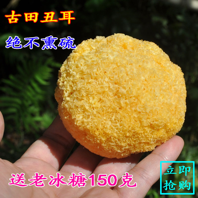 农家丑耳 手挑古田丑耳 银耳干货白木耳 没有添加不熏硫糯耳210g