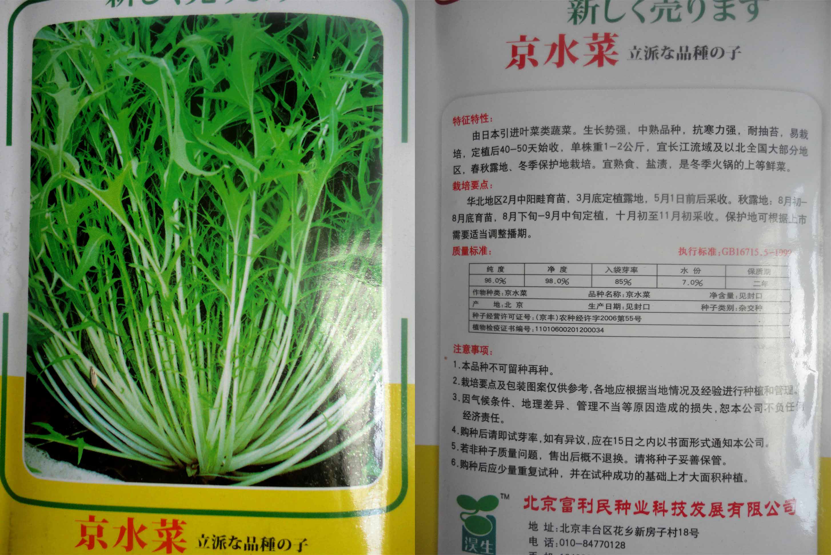 满10元包邮 京水菜银丝菜种子 水晶菜种子 保健野菜四季种 10g