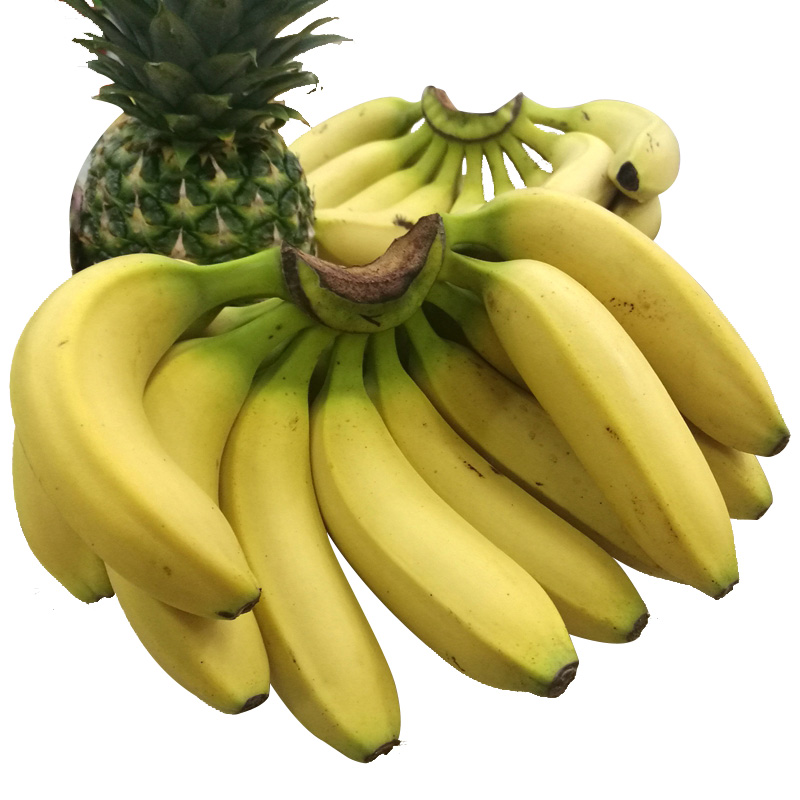 㽶8װ ˮ ʵ۽ ʥ С׽۽Ž