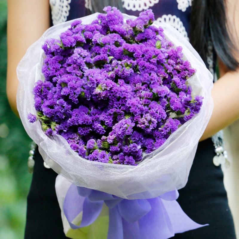 紫色勿忘我干花花束生日送女友闺蜜同学同城鲜花速递深圳广州南京