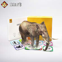 小熊尼奥口袋动物园1有声AR儿童识字卡片看图宝宝启蒙拼音早教卡