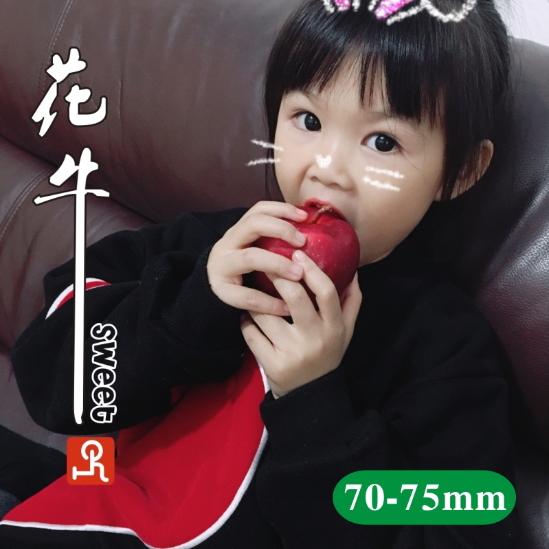 溆浦县拿去花苹果app下载【加▲威信Q同号:4