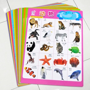 学前儿童启蒙挂图0-3-6岁