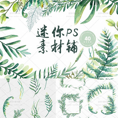 cm528绿色森系婚庆背景手绘水彩树叶边框海报卡片png设计素材模板