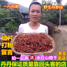 丹参中药材丹参粉 丹参茶紫花丹参丹参片 野生丹参丹参段 2017年