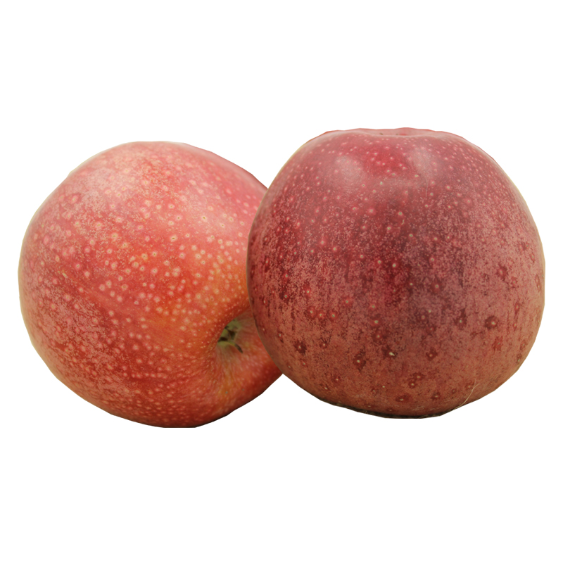 秦冠 面粉苹果水果 适合老人小孩吃 非陕西烟台