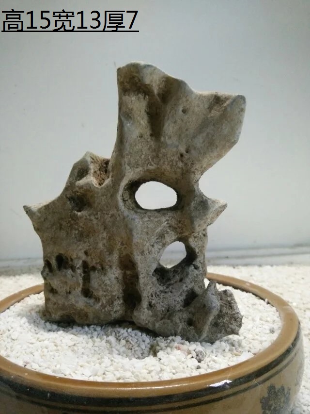 正品[石头剪刀布 英文]石头剪刀布英文歌评测 石