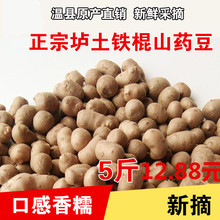新货河南焦作特产铁棍山药豆淮怀山药蛋新鲜温县垆土五斤装