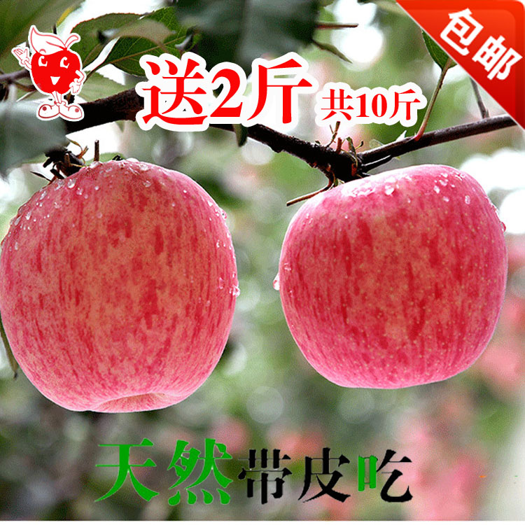 新鲜水果正宗山东烟台栖霞红富士苹果农家特产10斤包邮孕妇吃的图片