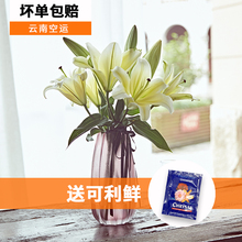 云南昆明鲜花香水百合花束办公室插花速递家庭用七夕情人节