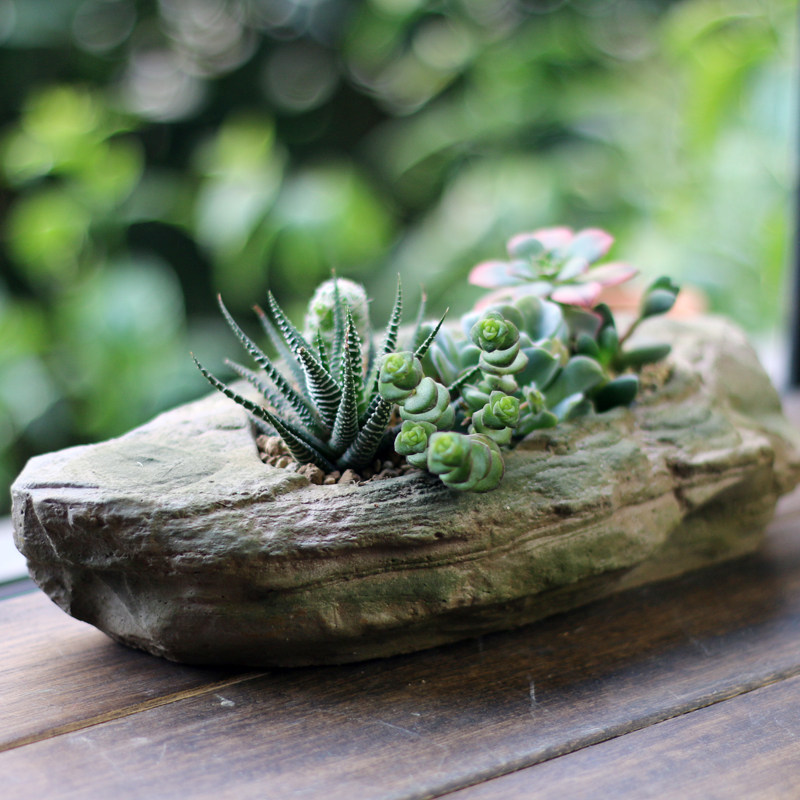 创意自然简约水泥仿石头多肉植物花盆个性树脂工艺装饰品摆件包邮