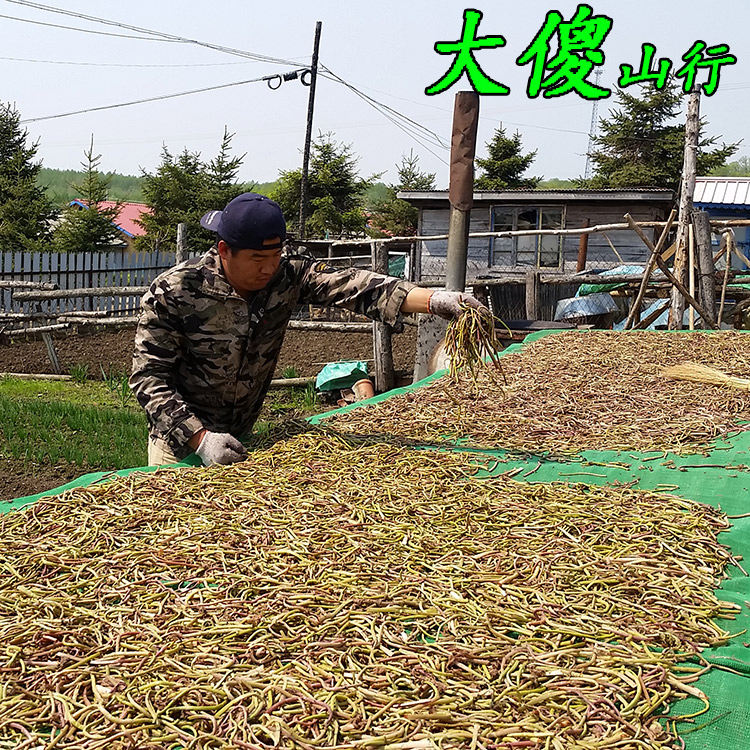 2016年5月东北野生薇菜干货特产牛毛广长白山山野菜新