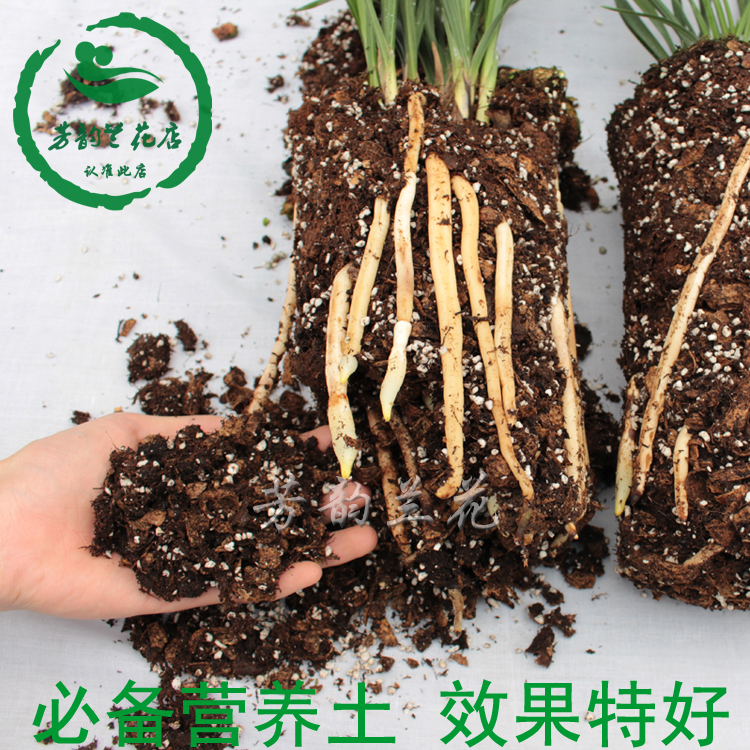 花卉绿植兰花营养土专用植料草炭珍珠岩花生壳树皮兰花必备植料肥