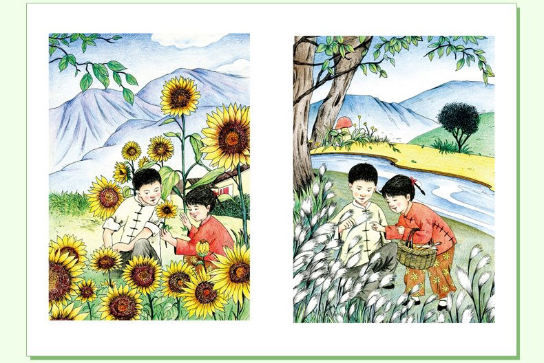 正版包邮青铜葵花曹文轩推荐儿童书籍9-12-15岁小学生