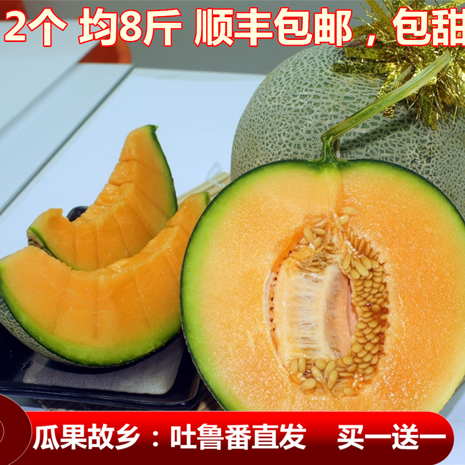 当季日本品种网纹瓜新鲜哈密瓜青皮绿肉蜜汁瓜