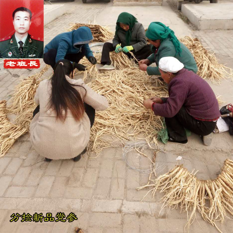 甘肃中药材非野生党参特级无硫白条党参可搭配当归黄芪500g克包邮