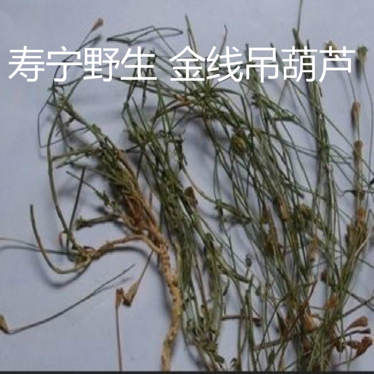 寿宁山草药蓝花参 金线吊葫芦 小儿疳积 250克 干货促销