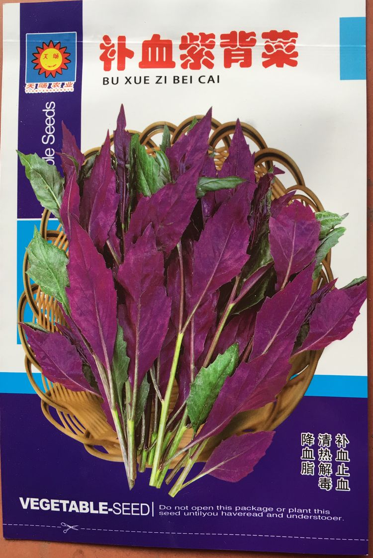 原包装补血紫背菜种子 降血脂 清热解毒补血止血药用菜用营养丰富