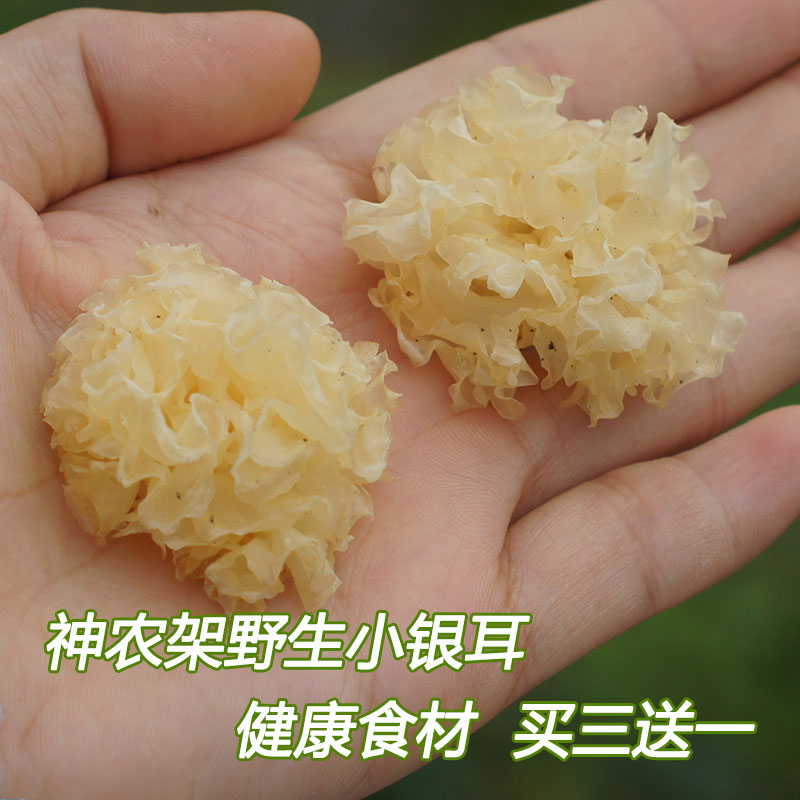 神农架野生椴木小银耳50g 干货糯雪耳神龙架特级白木耳优古田通江