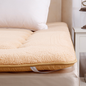 加厚保暖冬季单/双人床垫