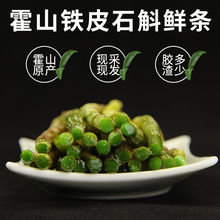 正宗四年生霍山铁皮石斛鲜条石斛枫斗可做铁皮枫斗新鲜采摘