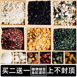 天然雨花石大鹅卵石花盆栽多肉彩色石子碎鱼缸装饰白色小石头yabo20