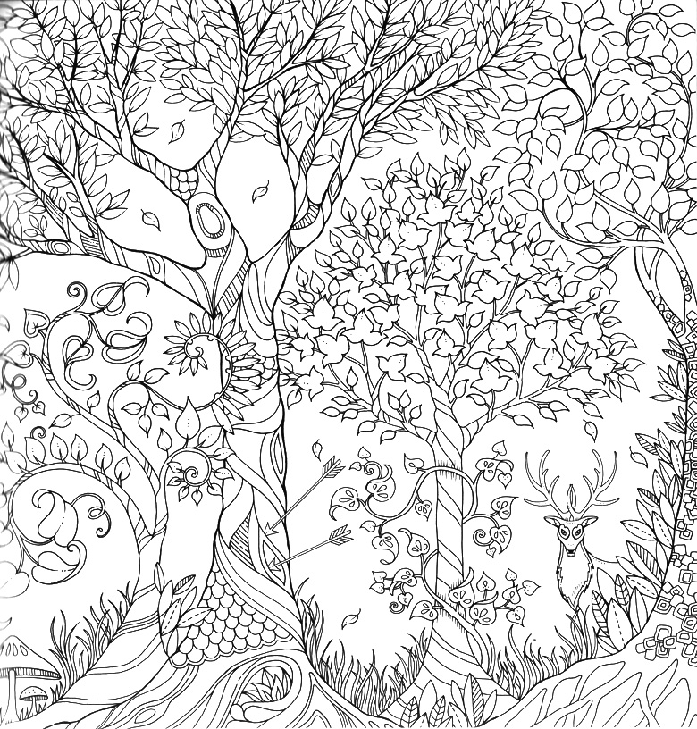 全新正版 现货 魔法森林 《秘密花园》新续作 风潮畅销全球涂色填色书