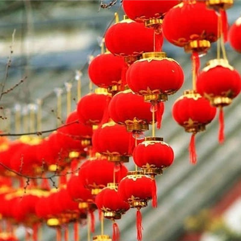 正品[灯笼裤 搭配衣服]灯笼裤配什么衣服评测 灯