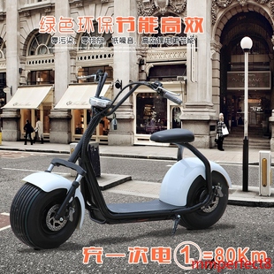 电动车哈雷电动滑板车锂电电动自行车两轮成人代步车锂电池送减震