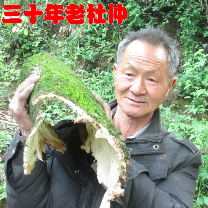 野生杜仲皮500克包邮三十年以上老树中药材