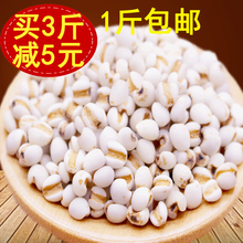 包邮 500g农家自产贵州兴仁小薏米仁粗粮薏仁米五谷杂粮薏苡仁新货