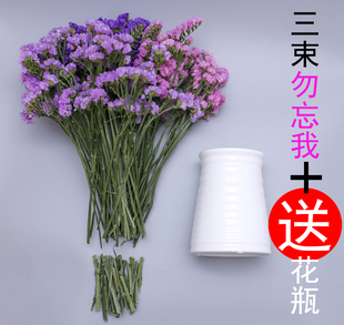 勿忘我带花瓶包邮真花创意礼物客厅装饰家居摆设生干花花束客厅