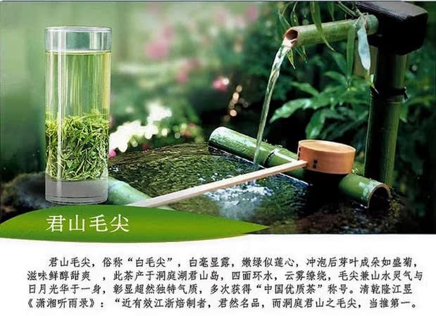 湖南特产 君山银针正品2016早春茶 特惠价礼盒/君山毛尖绿茶250g