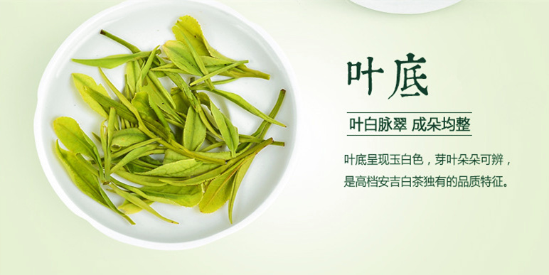 2017年新茶绿茶 特级安吉白茶500g茶叶 珍稀白茶春茶包邮促销