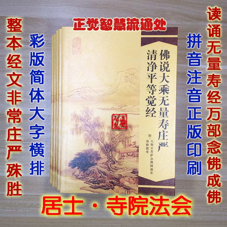 佛说大乘无量寿庄严清净平等觉经免费结缘简体拼音注音版