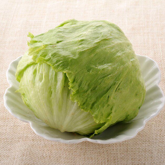 结球生菜150粒春天播阳台花卉水果树木蔬菜架绿植物种子小盆栽