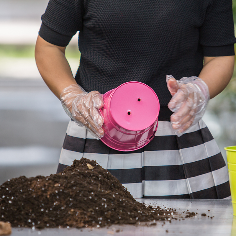 艳九天专用草莓苗营养土花卉蔬菜用阳台种菜有