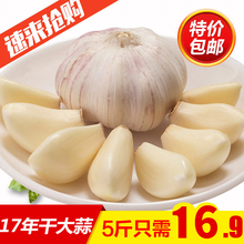 干蒜新蒜2017新干大蒜头农家自种大蒜头干蒜5斤 包邮 低价 大蒜头
