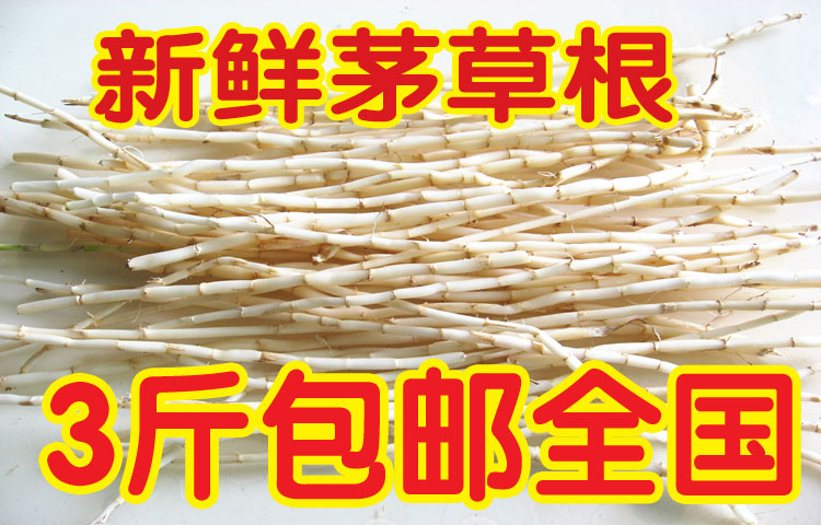 新鲜白茅根/现挖野生白茅根/天然茅草根/竹蔗芦根一斤装