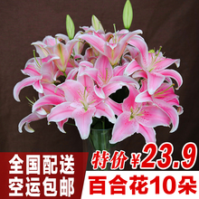 一扎10支鲜花批发 包邮 同城速递室内新鲜鲜花家庭插花 百合鲜花