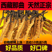3条1克西藏那曲正品 冬虫夏草正宗虫草顺丰 野生礼盒装 药监质检