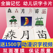 6岁启蒙象形全套 双面汉字幼儿童识字卡片宝宝早教有图认字生字3