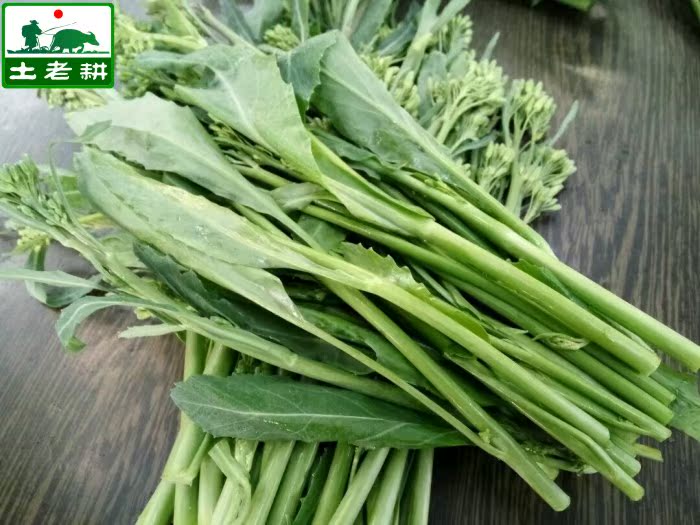 新鲜芥兰菜小芥蓝农家自种本土蔬菜时令菜青菜鲜芥菜苔菜心500g装