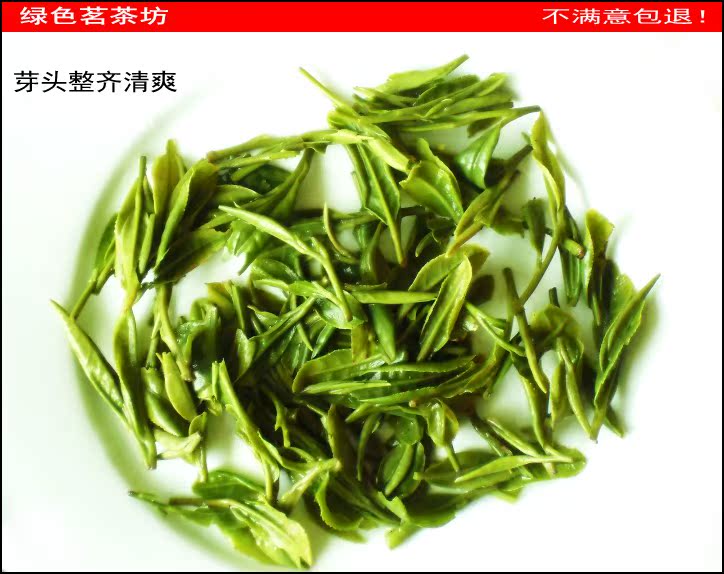 2016年扬州名茶仪征捺山茶绿扬春新茶无公害茶叶绿杨春绿茶翠柏