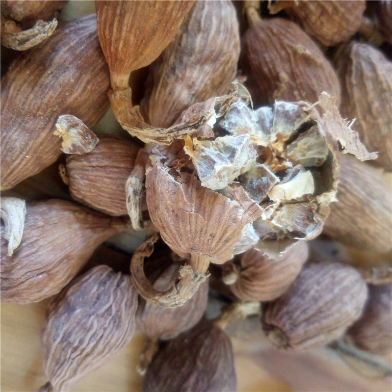 云南草果香料干草果500克 厨房烹饪调味料 烧菜炖肉火锅必备佐料