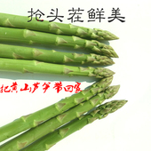 包邮 4斤多省顺丰 现挖芦笋500g芦笋新鲜蔬菜黄山无公害芦笋环保装