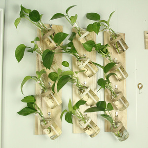 创意木板壁挂玻璃水培绿植花瓶 家居客厅背景墙上装饰品挂件新品