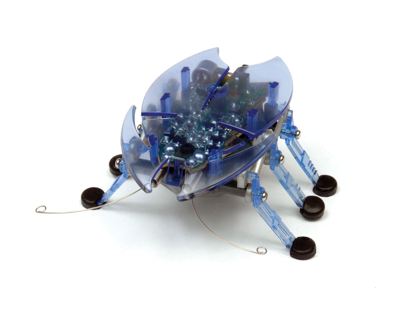 正版赫宝hexbug 纳诺虫电子精灵斗虫机械虫 男孩儿童宠物玩具