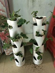 菜园 阳台菜园 蔬菜种植 阳台种菜 pvc阳台种菜 家庭菜园 种菜设备